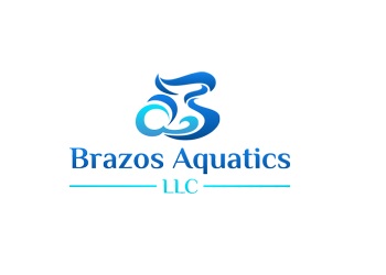 Brazos Pool & Spa LLC